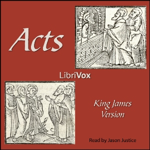 Bible (KJV) NT 05: Acts (version 2) cover