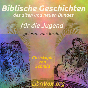 Biblische Geschichten des alten und neuen Bundes für die Jugend cover