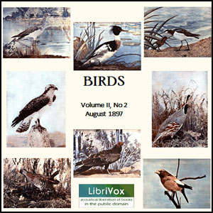 Birds, Vol. II, No 2, August 1897 cover