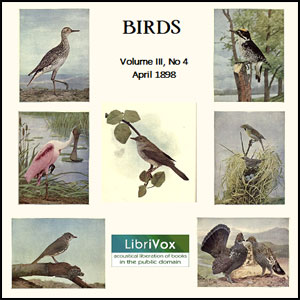 Birds, Vol. III, No 4, April 1898 cover