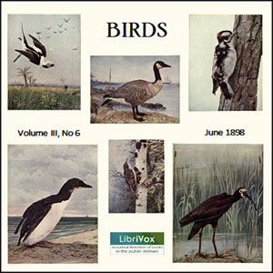 Birds, Vol. III, No 6, June 1898 cover