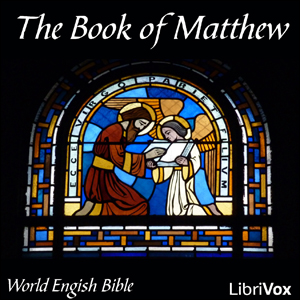 Bible (WEB) NT 01: Matthew cover