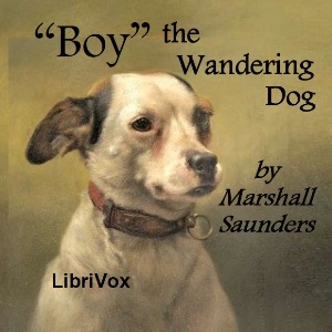 "Boy" The Wandering Dog cover