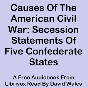 Causes Of The American Civil War: Secession Statements Of Five Confederate States (South Carolina, Texas, Virginia, Georgia, Mississippi) cover