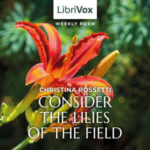 Consider the Lilies of the Field cover