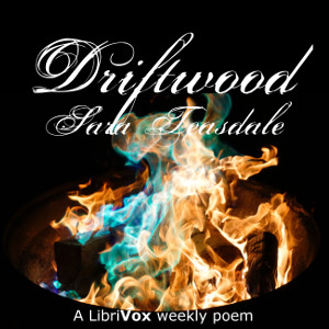 Driftwood cover