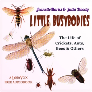 Little Busybodies: The Life of Crickets, Ants, Bees, and Others cover