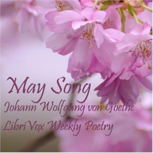 May Song cover