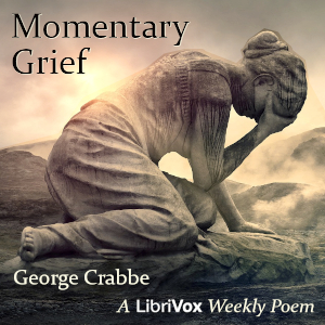 Momentary Grief cover