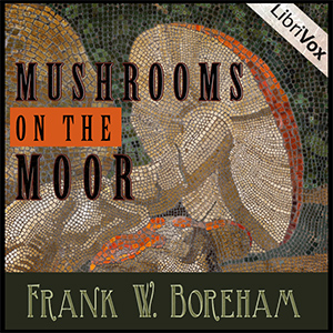 Mushrooms on the Moor cover