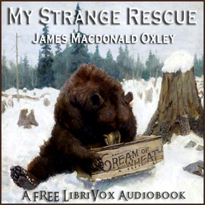 My Strange Rescue cover