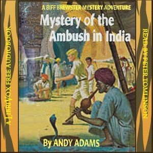 Mystery of the Ambush in India cover