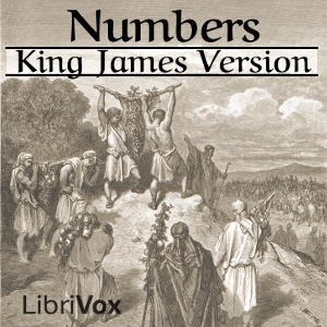 Bible (KJV) 04: Numbers cover