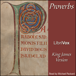 Bible (KJV) 20: Proverbs cover