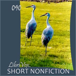 Short Nonfiction Collection, Vol. 090 cover