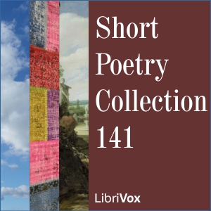 Short Poetry Collection 141 cover