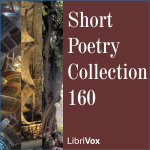 Short Poetry Collection 160 cover