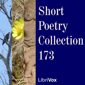 Short Poetry Collection 173 cover