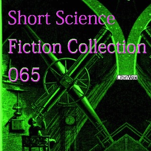 Short Science Fiction Collection 065 cover