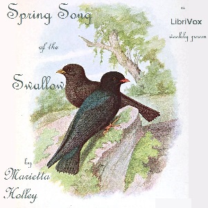 Spring Song of the Swallow cover
