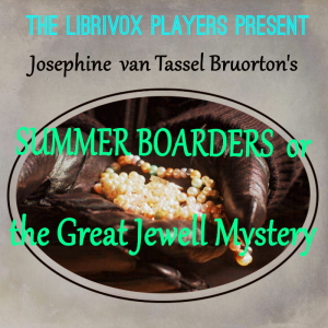 Summer Boarders; or The Great Jewel Mystery cover