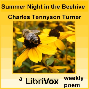 Summer Night in the Beehive cover