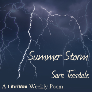 Summer Storm cover