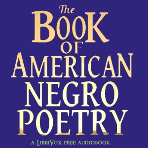 Book of American Negro Poetry cover