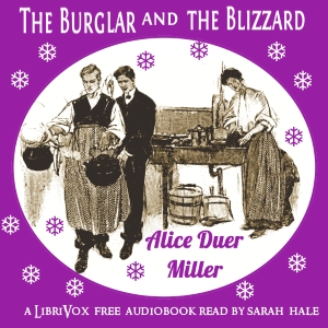 Burglar and the Blizzard cover