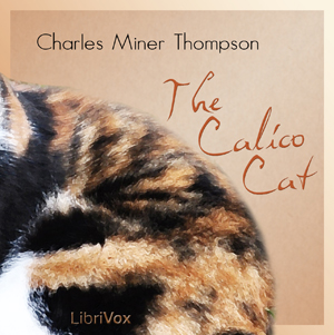 Calico Cat cover