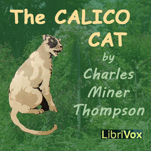 Calico Cat (version 2) cover