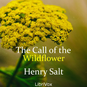 Call of the Wildflower cover