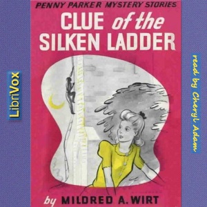 Clue of the Silken Ladder cover