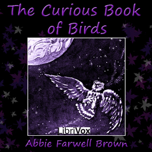 Curious Book of Birds cover