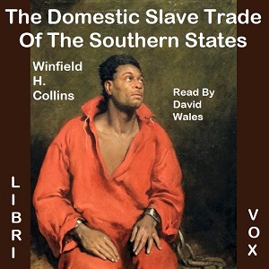 Domestic Slave Trade Of The Southern States cover