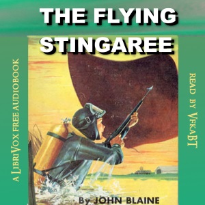 Flying Stingaree cover