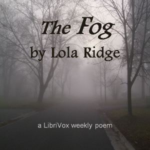 Fog cover