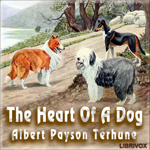 Heart of a Dog cover