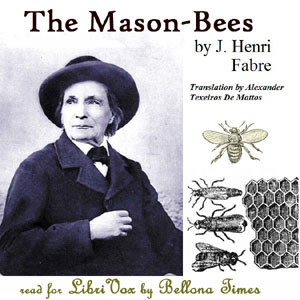 Mason-Bees cover