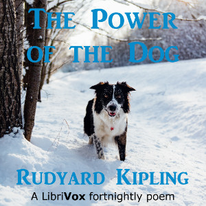 Power of the Dog cover