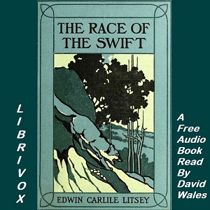 Race Of The Swift cover