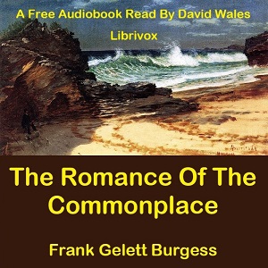 Romance Of The Commonplace cover