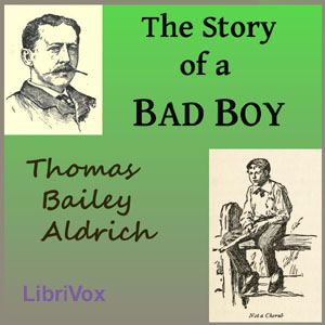 Story of a Bad Boy cover