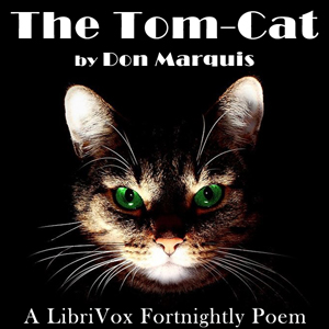 Tom-Cat cover