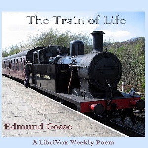 Train of Life cover