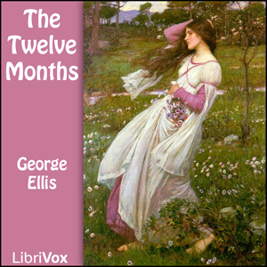 Twelve Months cover