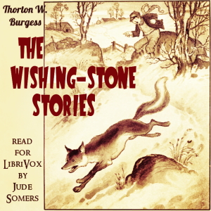 Wishing-Stone Stories (Version 2) cover