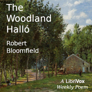 Woodland Halló cover