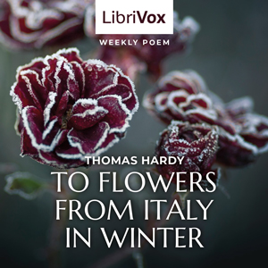 To Flowers From Italy In Winter cover