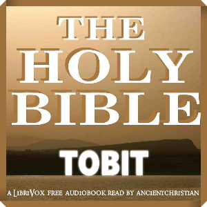 Bible (WEB) Apocrypha/Deuterocanon: Book of Tobit cover